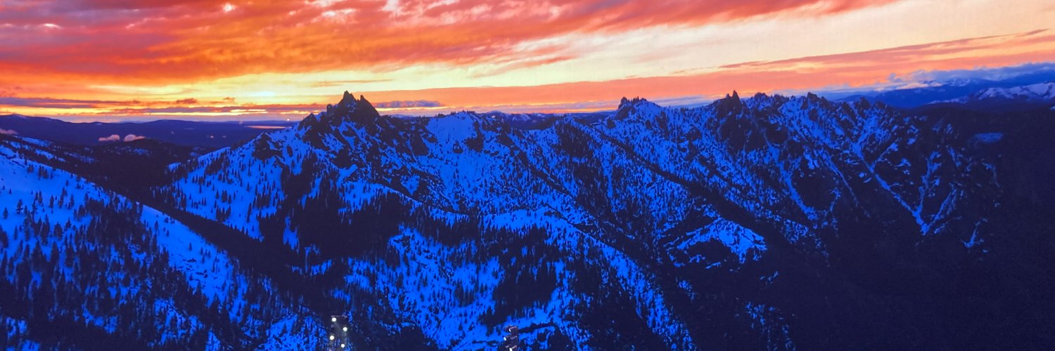 Michal Lev-Ram banner