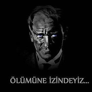 zmtore's profile banner image