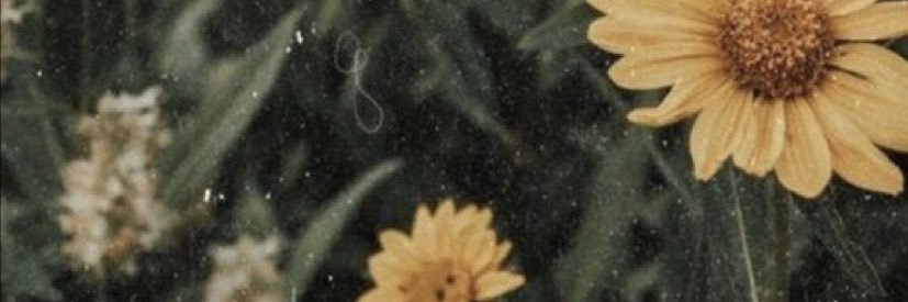 melargondizza's profile banner image