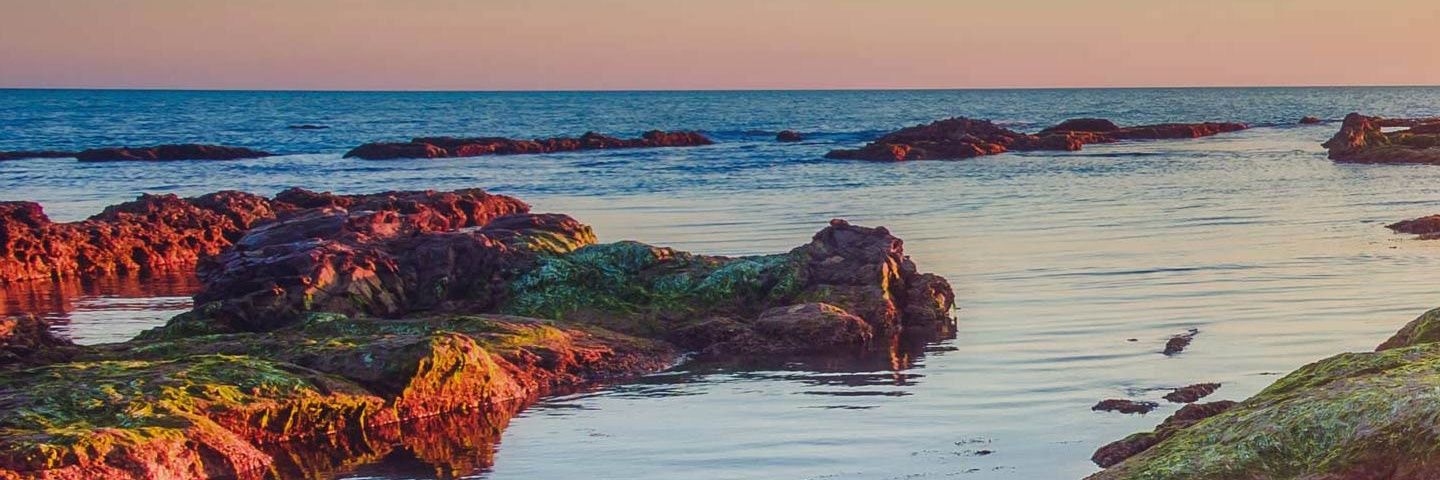 danijaimess's profile banner image