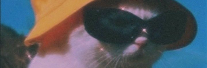 luciluh_'s profile banner image
