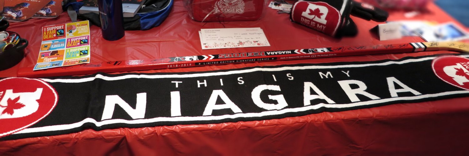 ThisIsMyNiagara banner
