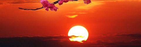 Tracy L.Hamilton banner