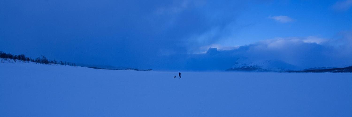 polarpixel's profile banner image