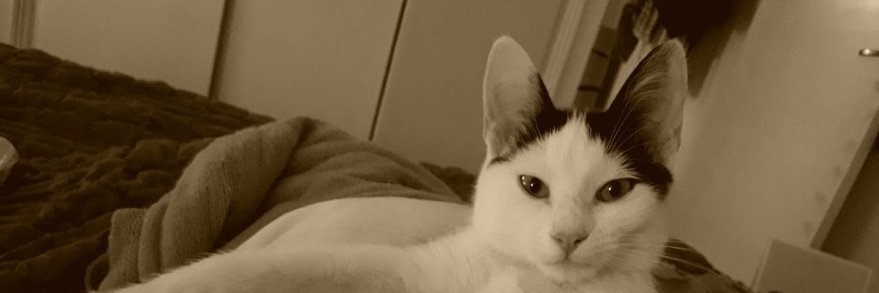 dimelo_en_paris's profile banner image