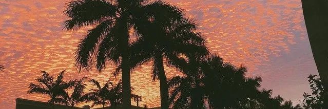 HayitsHaley's profile banner image