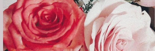 polamedina11's profile banner image