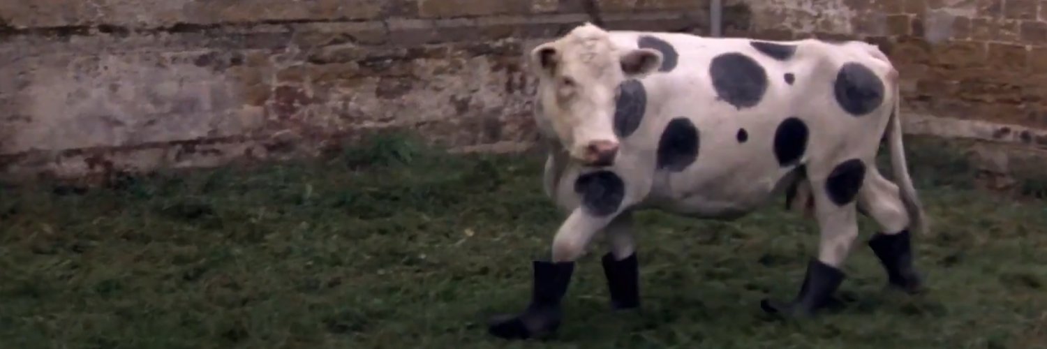 RDV sur le ciel bleu : StrangeCherry banner