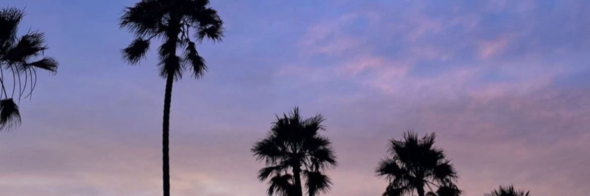 snwxo's profile banner image