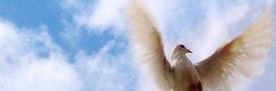 ahmeterdgn95's profile banner image