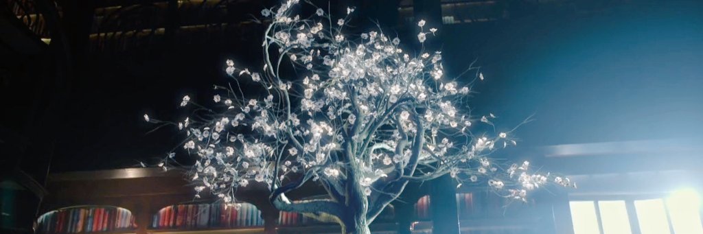 SungedaSumi's profile banner image