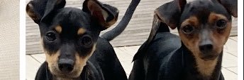 thegreatlio18's profile banner image