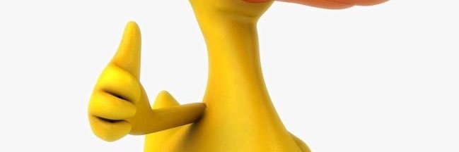 giulyamaia's profile banner image