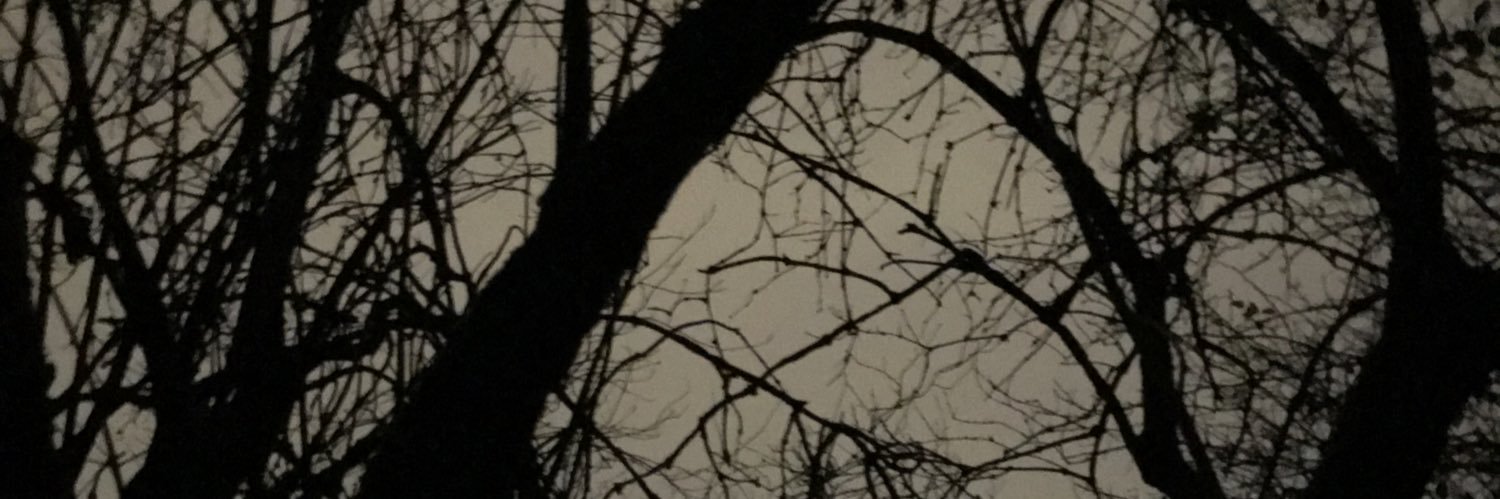 Raúl Vélez banner