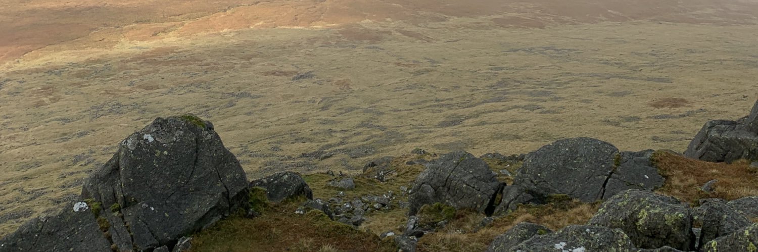 Dave McNamara banner