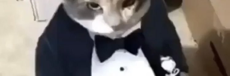 jooshyballs's profile banner image
