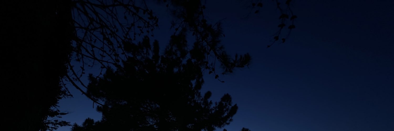 esinasso's profile banner image