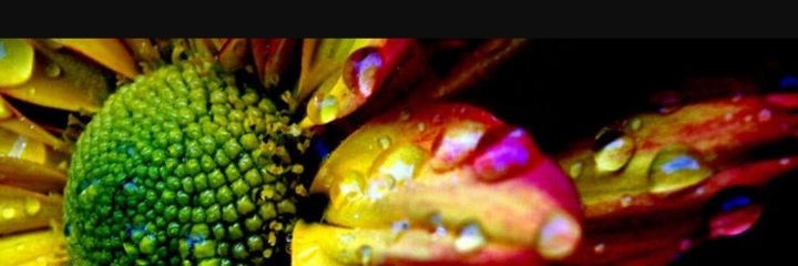 treenstweets's profile banner image