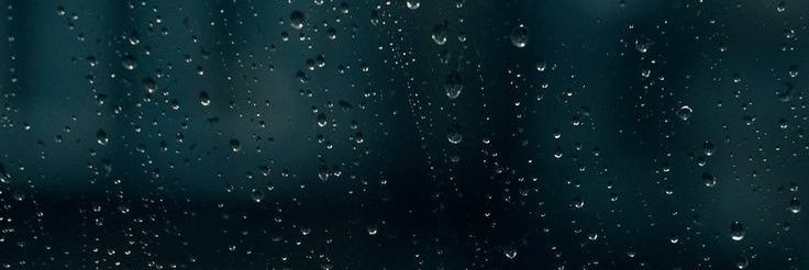 dankindanut's profile banner image
