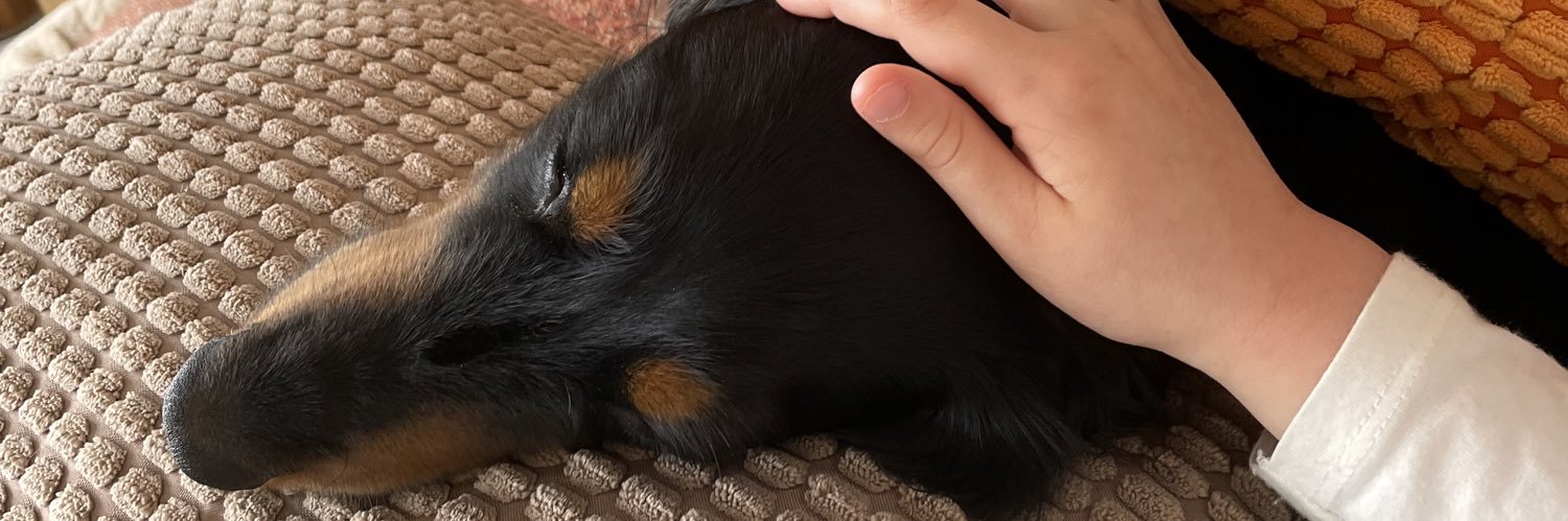 Janice Woodburn banner