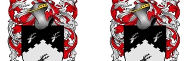ThreeHartsHeads Profile Banner
