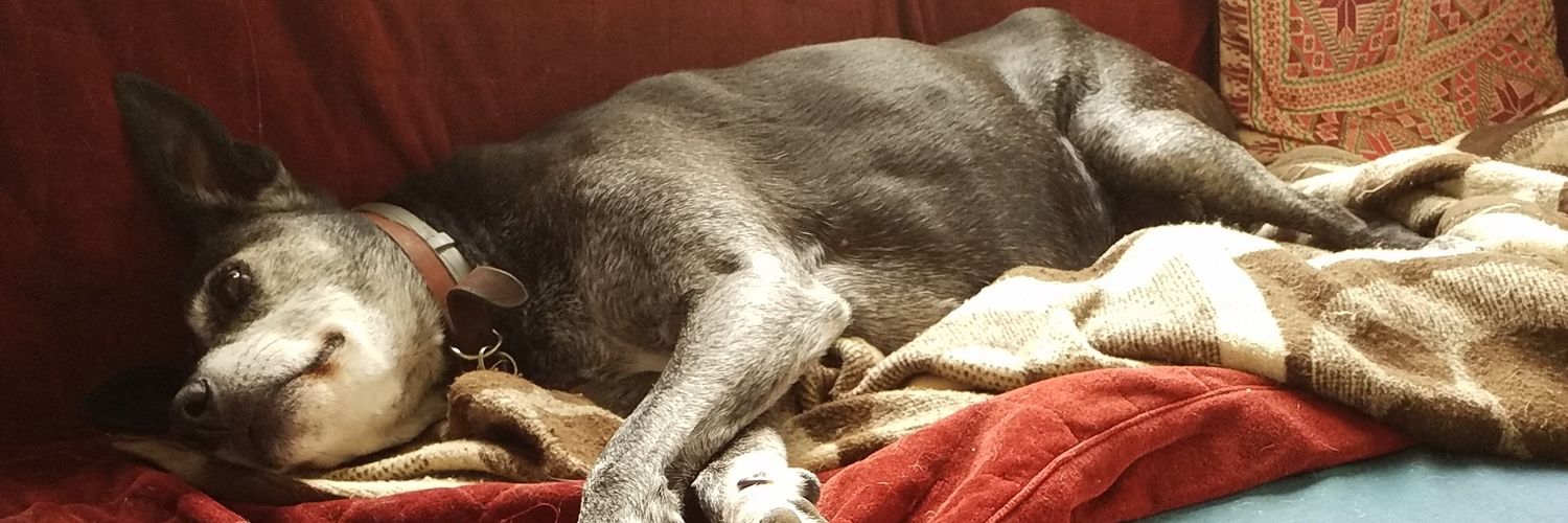 Bacchusboy's profile banner image