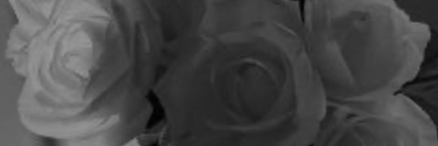 N3_2020's profile banner image