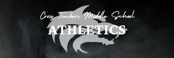 CTMSWolvesGirls Profile Banner
