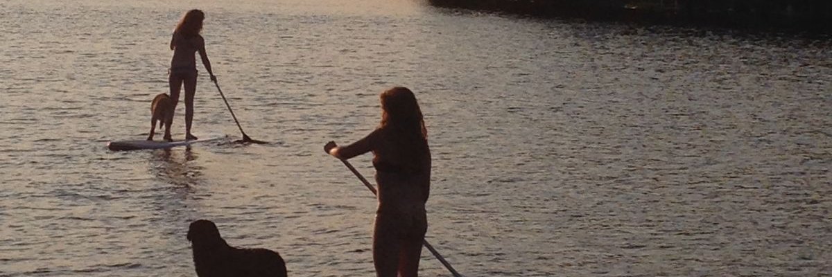 Emma11119v's profile banner image