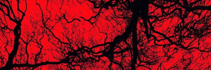 ClBloodfall's profile banner image