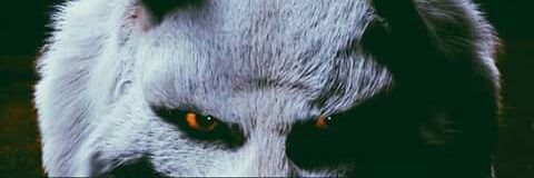 superjohnrmr's profile banner image