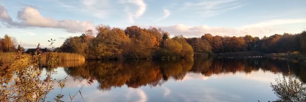 mrstu69 Profile Banner