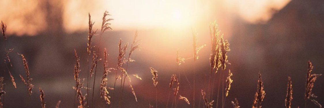 Romanya van Straten banner