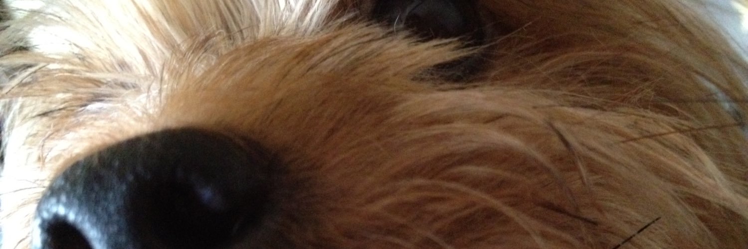 komayade's profile banner image