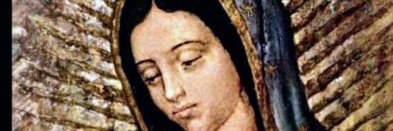 ferreralberto01's profile banner image