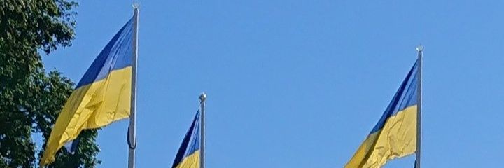 Fredrik Ernerot banner