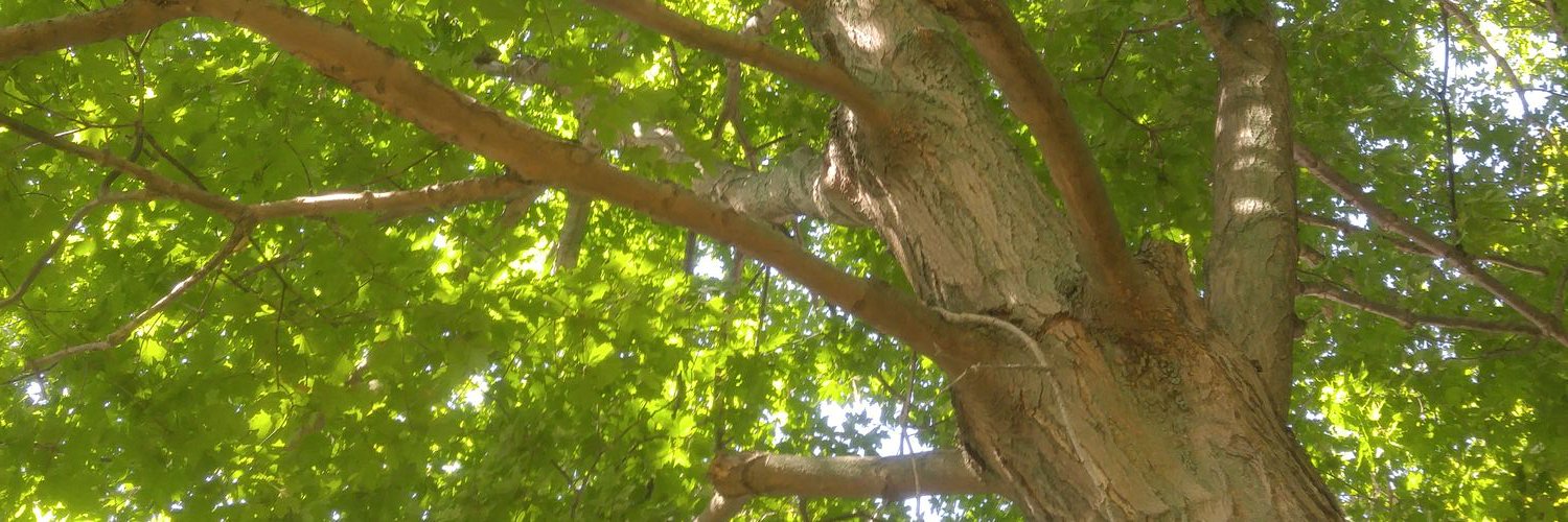 portflyfishing's profile banner image