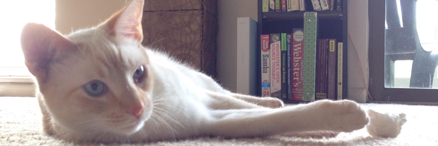 AuthorMScott's profile banner image