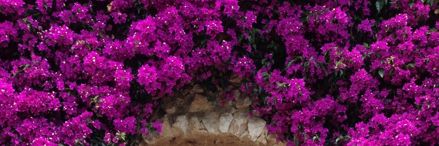 anchalk's profile banner image
