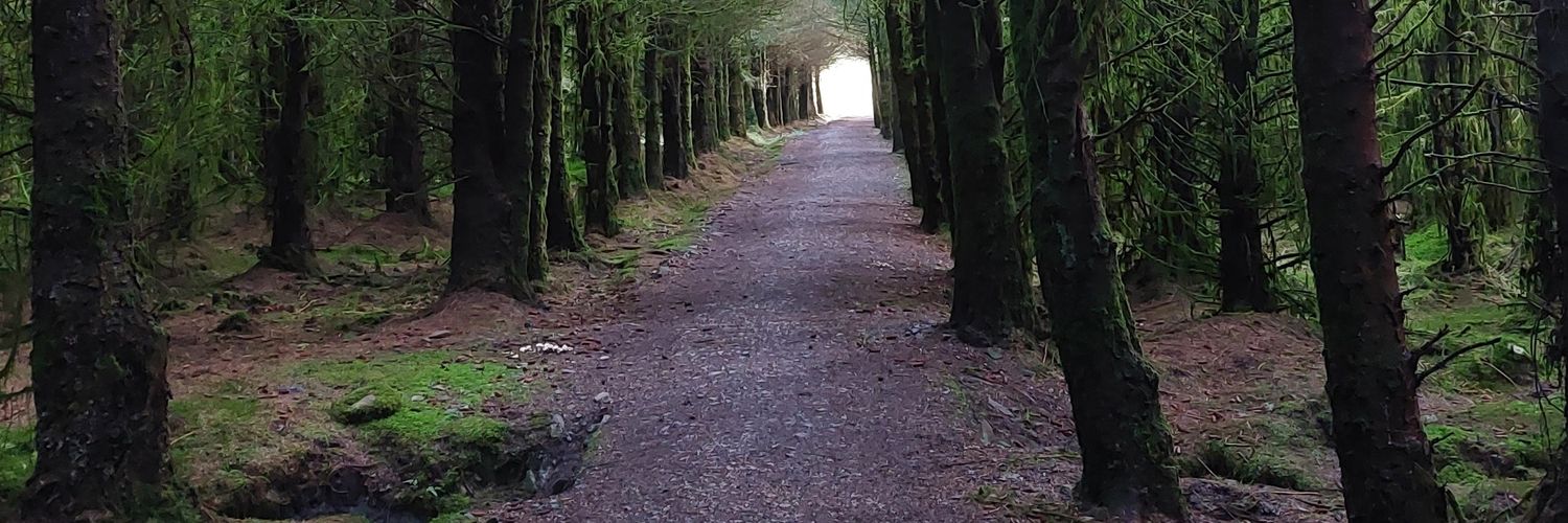 Shirl 🐾🐾 banner