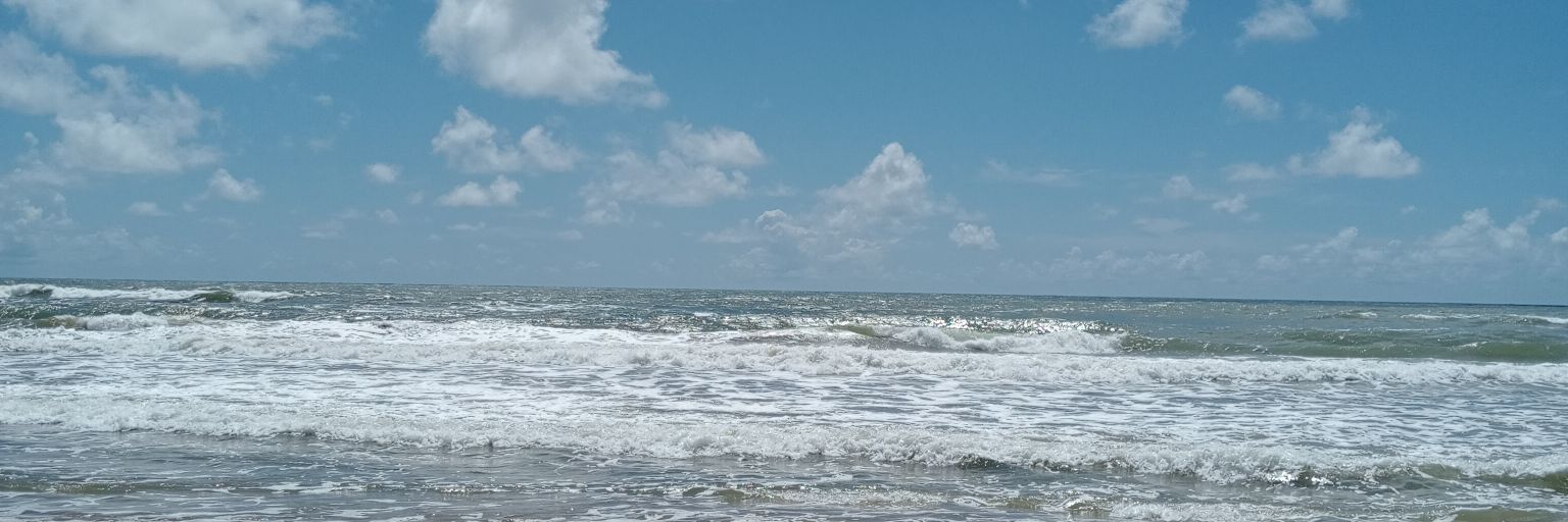 RuchiChahar's profile banner image