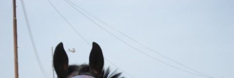 LVGPANTOFAGASTA's profile banner image