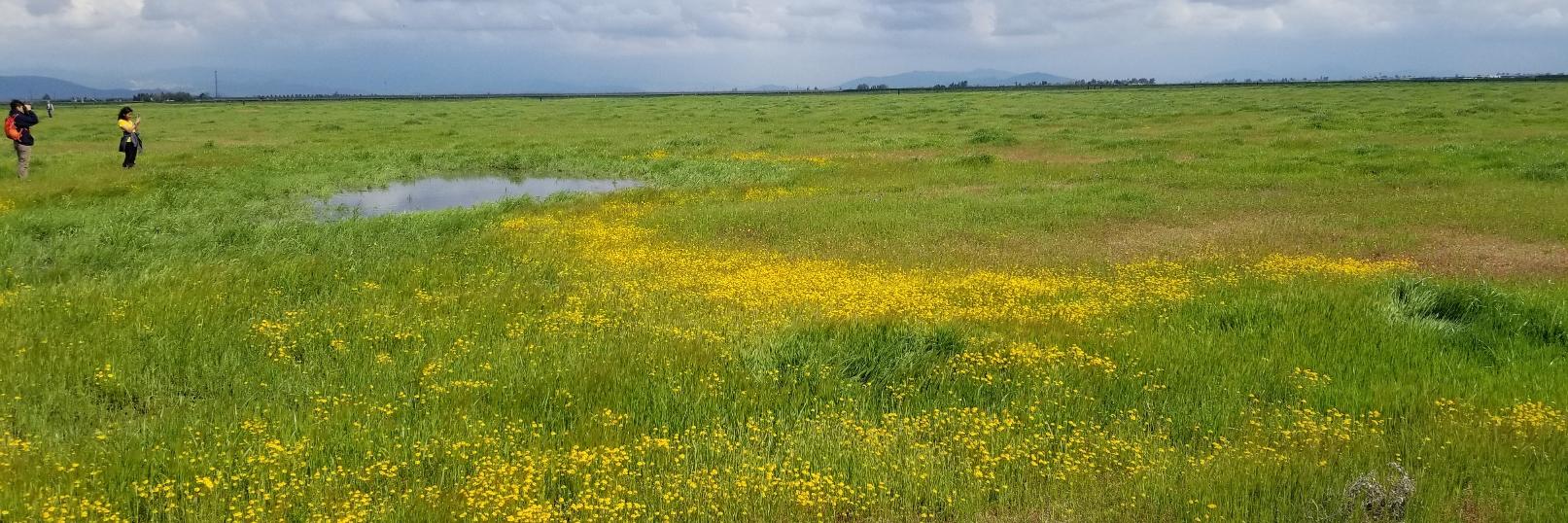 riverlandstrust's profile banner image