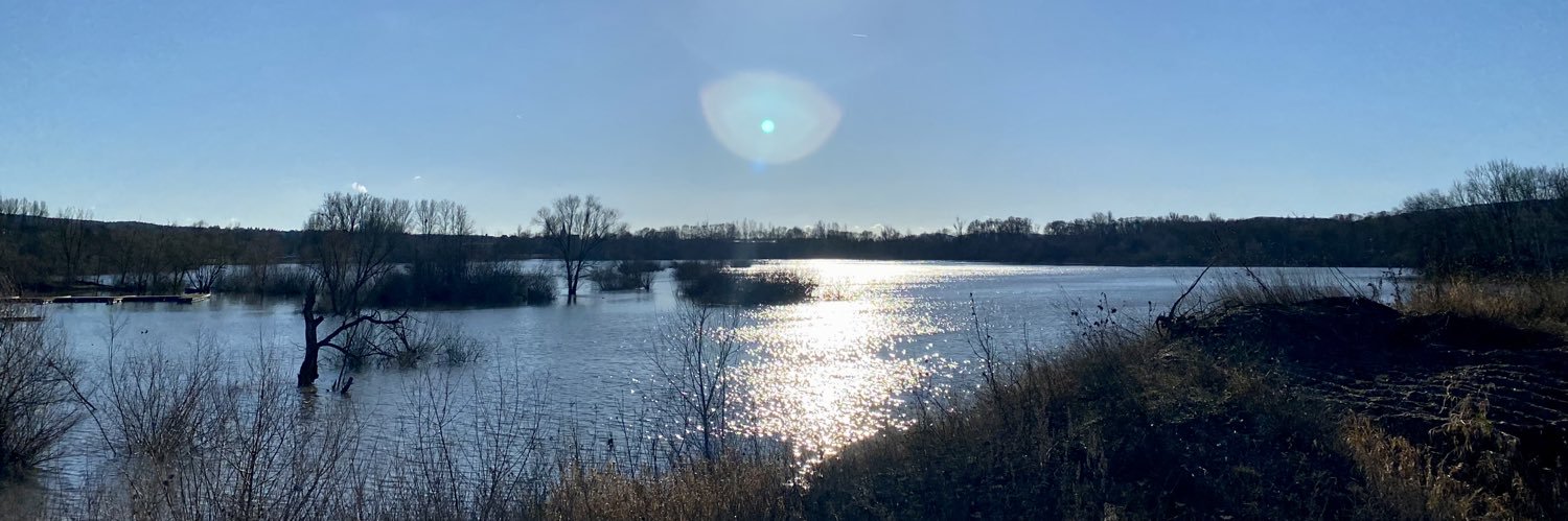 Dr. Julia  banner