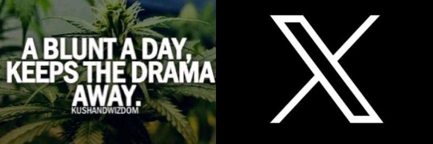ascalamunda's profile banner image