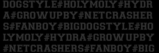 Netcrashers's profile banner image