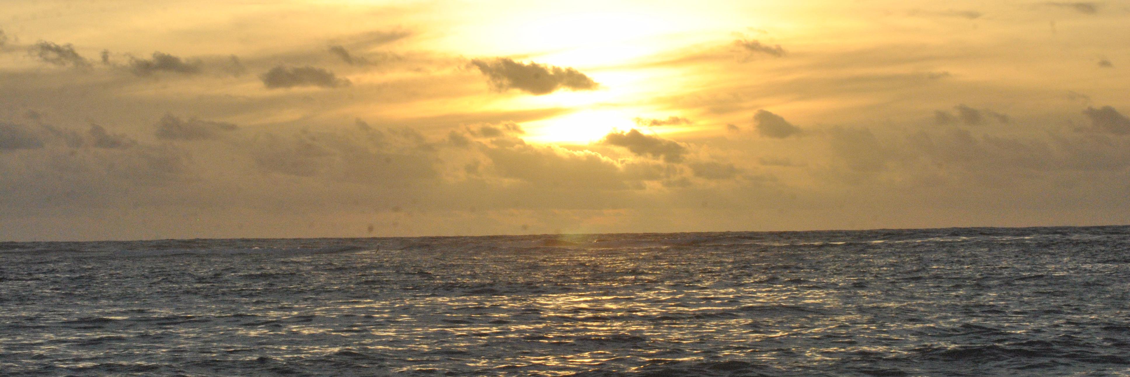 rianpdn's profile banner image