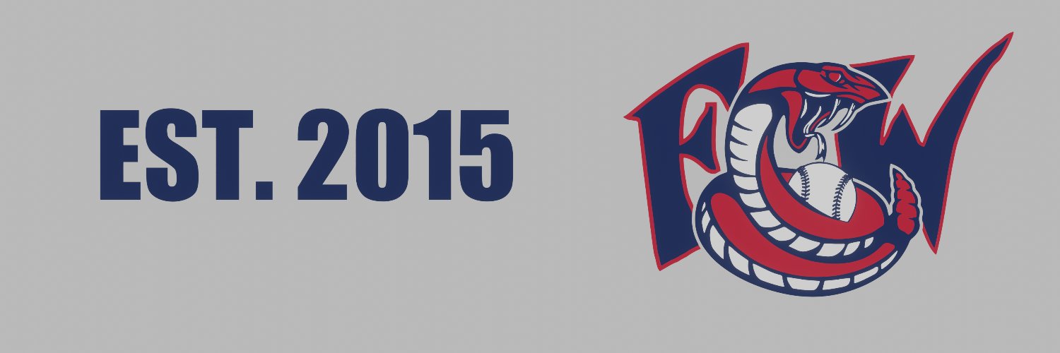 FW Diamondbacks banner