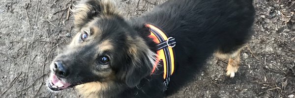 GazzzClark Profile Banner