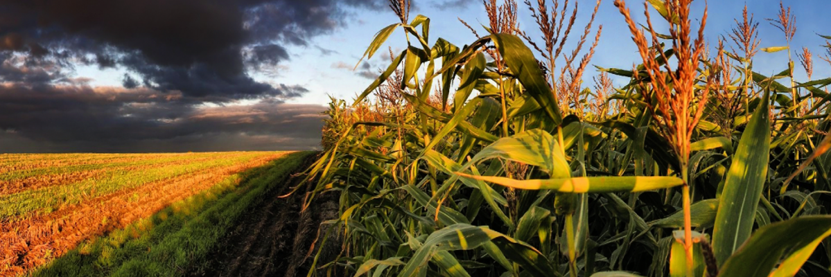 Agro-Produccion banner